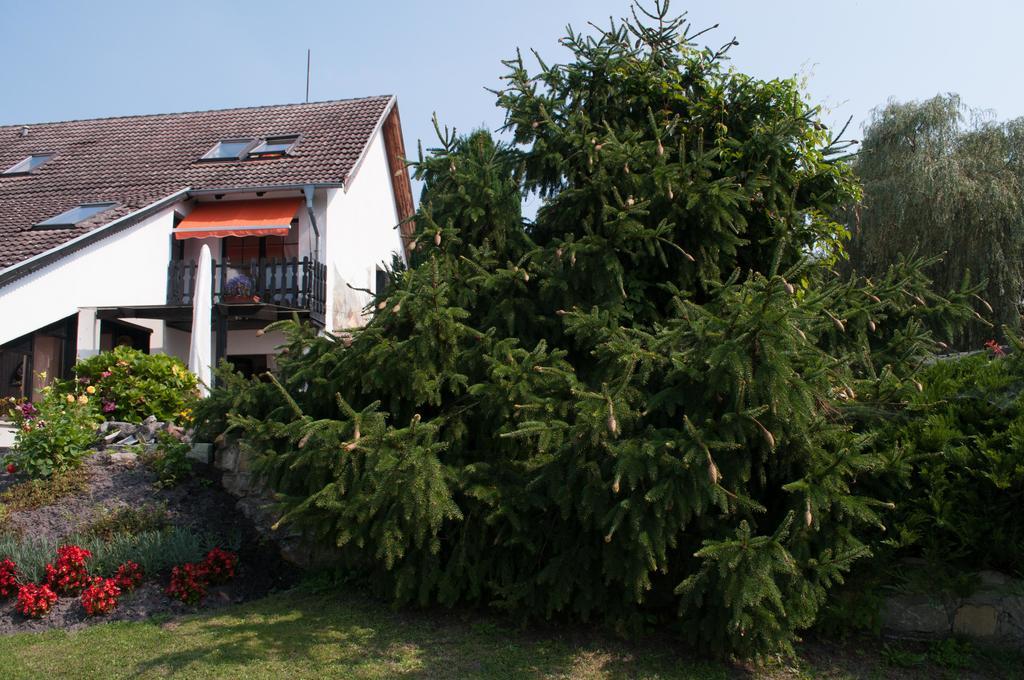 Apartment Edelweiss Egsdorf Eksteriør bilde